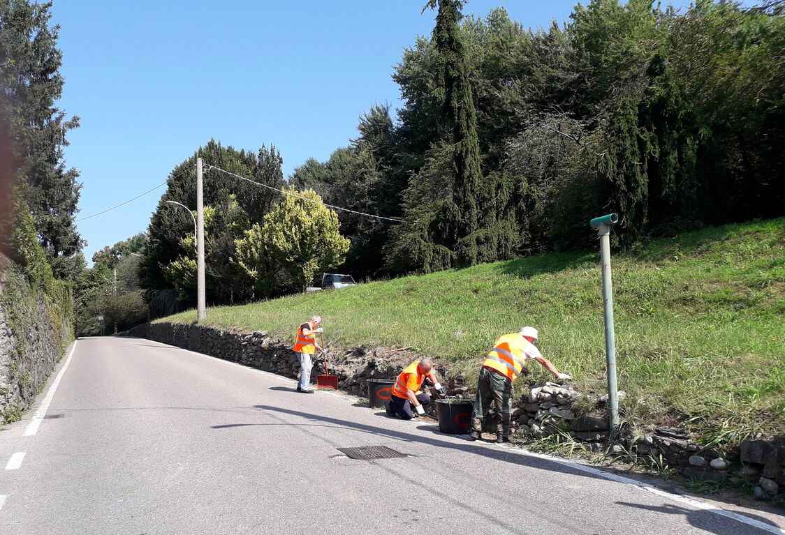 Descrizione immagine