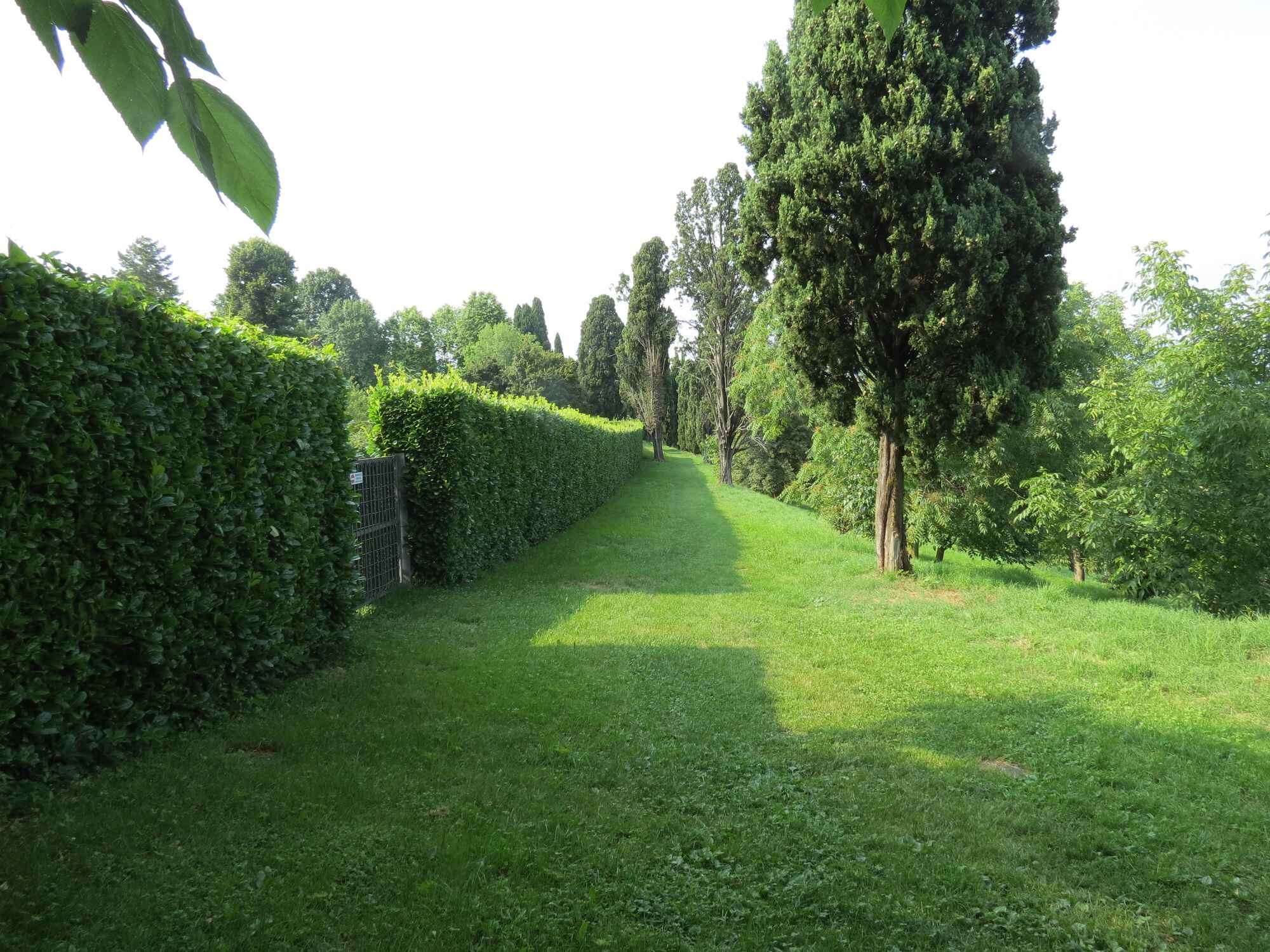 Descrizione immagine