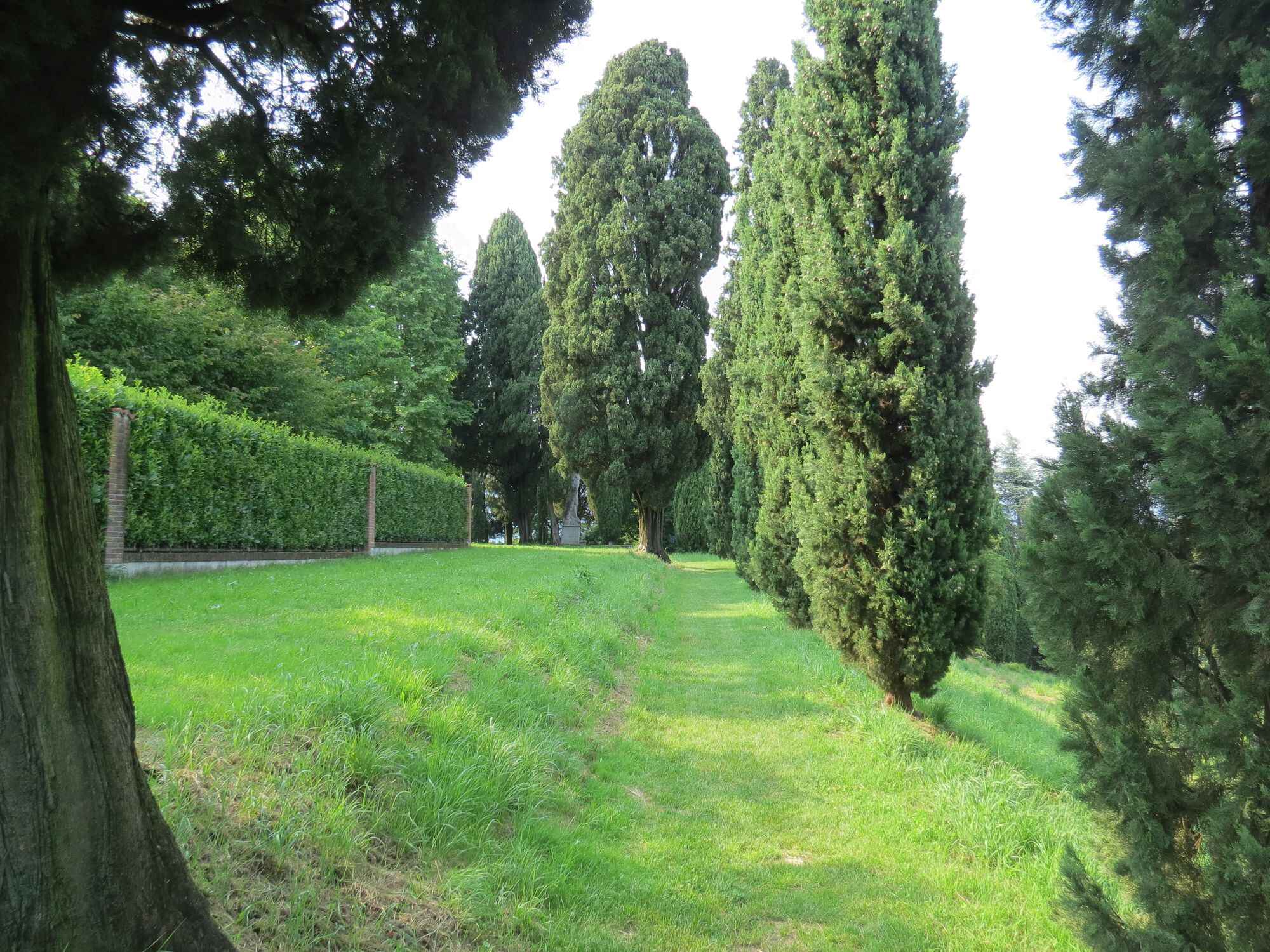 Descrizione immagine